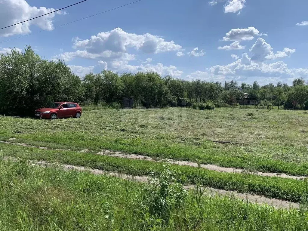 Участок в Воронежская область, Воронеж Дубрава СНТ, ул. Клубничная ... - Фото 2