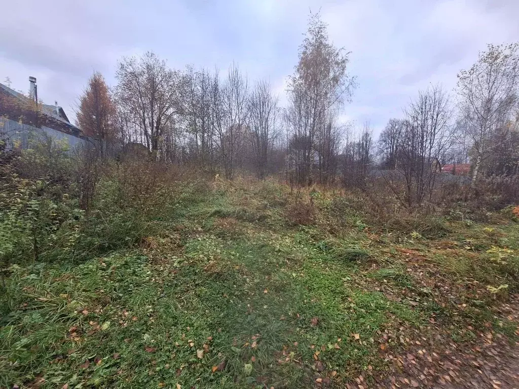 Участок в Московская область, Можайский муниципальный округ, д. ... - Фото 1