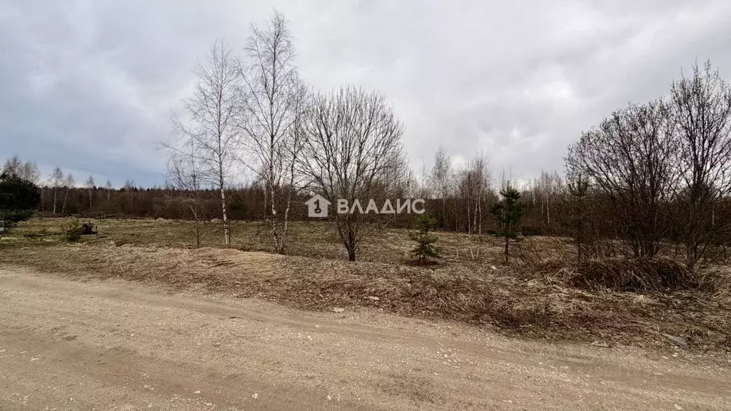 Участок в Владимирская область, Владимир д. Злобино,  (10.27 сот.) - Фото 2