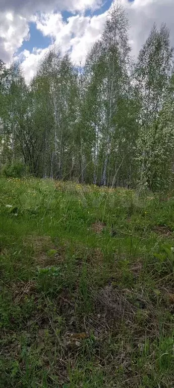 Участок 7 сот. (ИЖС) - Фото 0