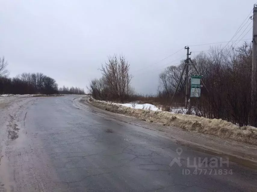 Участок в Тамбовская область, Мичуринский район, с. Остролучье Садовая ... - Фото 1