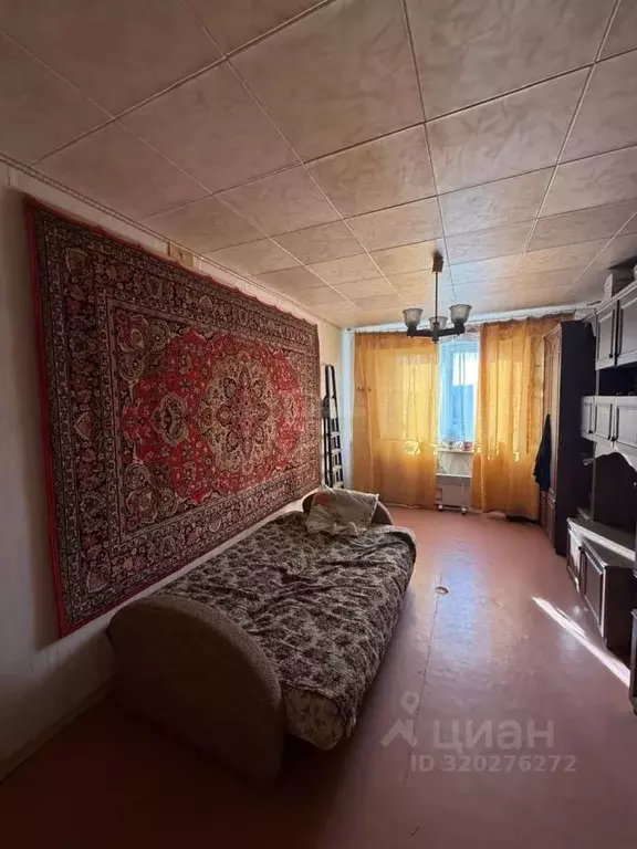 3-к кв. Владимирская область, Суздальский район, Новоалександровское ... - Фото 1