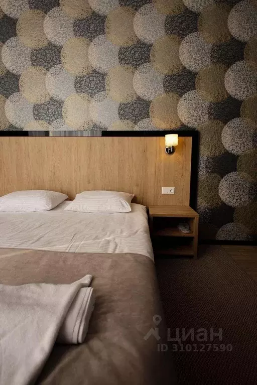 Комната Ростовская область, Каменск-Шахтинский Московская ул., 55Е ... - Фото 2