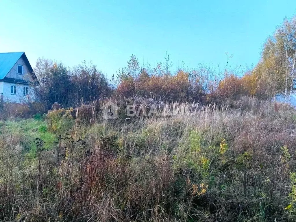 Участок в Владимирская область, Владимир д. Вилки, ул. Центральная, 22 ... - Фото 0