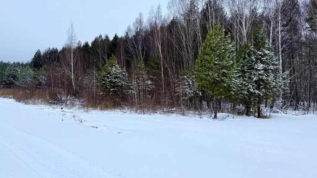 Участок в Татарстан, Высокогорский район, Семиозерское с/пос, с. ... - Фото 1