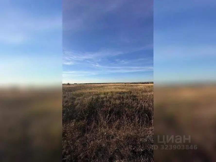 Участок в Московская область, Серебряные Пруды пгт ул. Советская ... - Фото 2