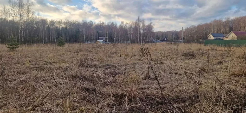 Участок в Московская область, Домодедово городской округ, с. Добрыниха ... - Фото 0