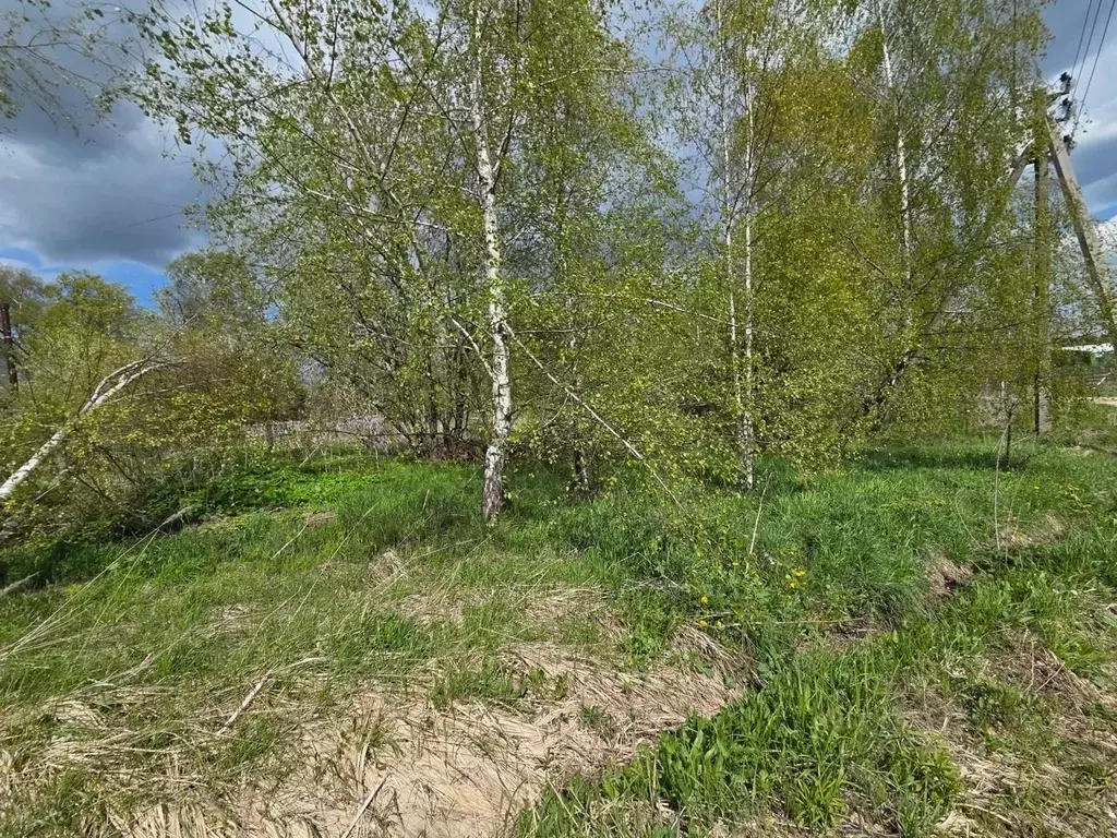 Участок в Московская область, Сергиево-Посадский городской округ, д. ... - Фото 1