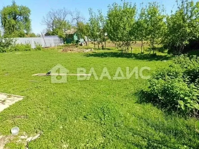 Участок в Московская область, Солнечногорск городской округ, д. ... - Фото 1