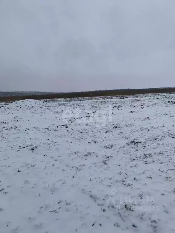 Участок в Белгородская область, Белгородский район, Головинское с/пос, ... - Фото 1