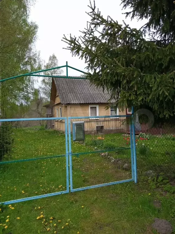 Дача 56,9 м на участке 16 сот. - Фото 0