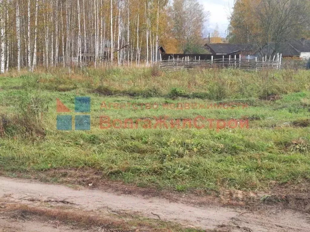 Участок в Нижегородская область, Сокольский муниципальный округ, д. ... - Фото 1