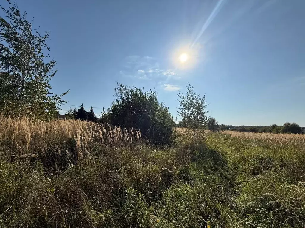 Участок в Московская область, Подольск городской округ, д. Бережки  ... - Фото 2
