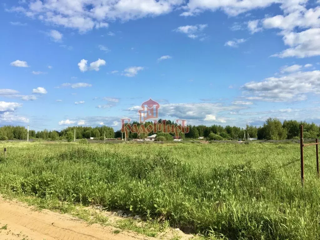 Участок в Владимирская область, Александровский район, Андреевское ... - Фото 0