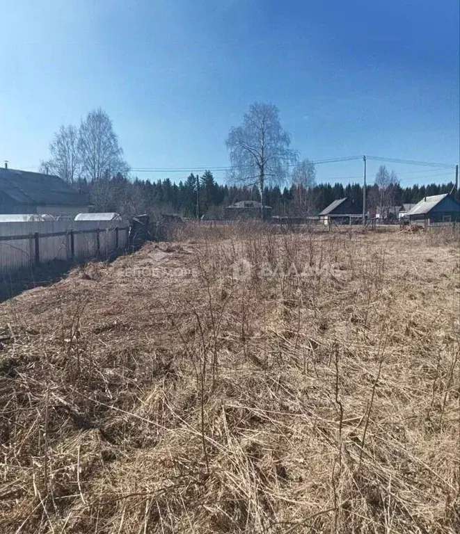 Участок в Архангельская область, Плесецкий муниципальный округ, ... - Фото 1
