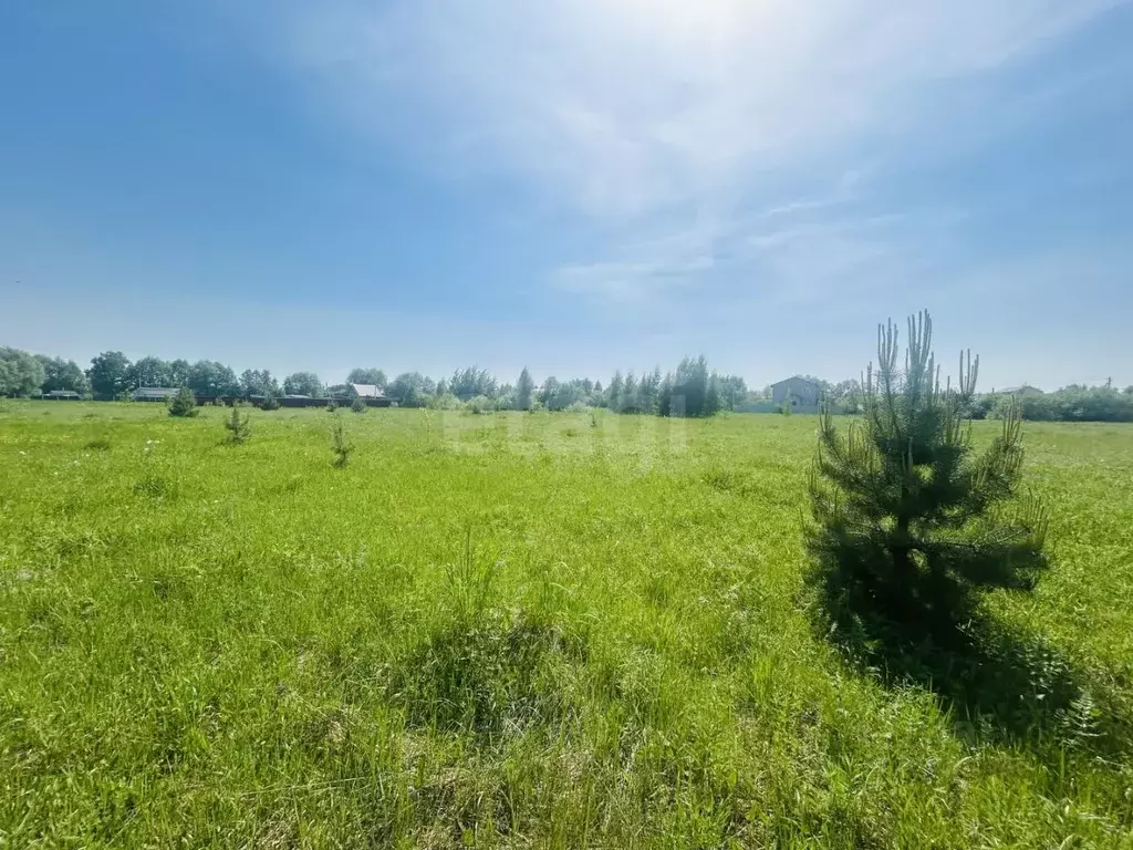 Участок в Московская область, Коломна городской округ, д. Негомож ул. ... - Фото 1