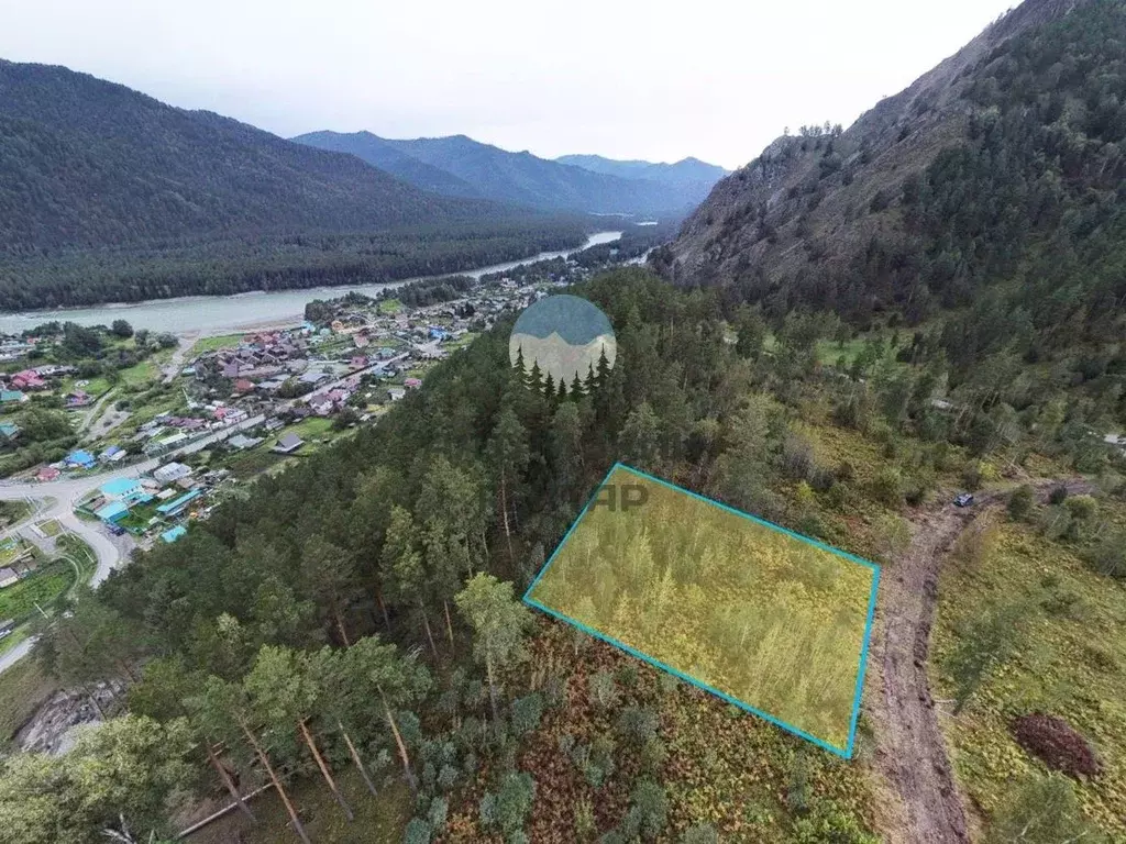 Участок в Алтай, Чемальский район, Узнезинское с/пос, с. Узнезя ул. ... - Фото 1