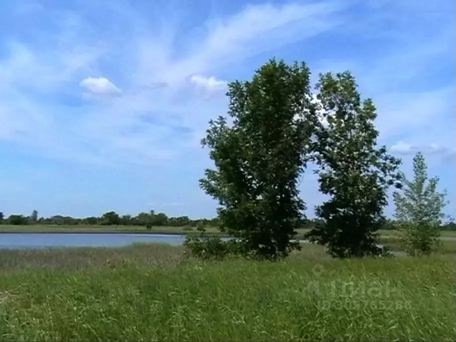 Участок в Волгоградская область, Ленинский район, с. Каршевитое  ... - Фото 1