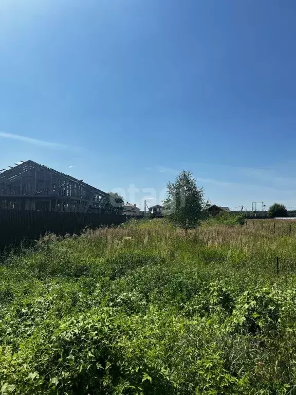 Участок в Московская область, Чехов муниципальный округ, д. Скурыгино  ... - Фото 1