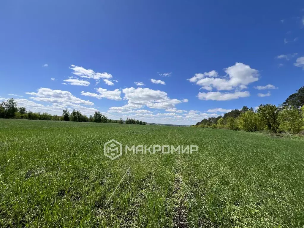 Участок в Орловская область, Орловский район, с. Сабурово  (2200.0 ... - Фото 1