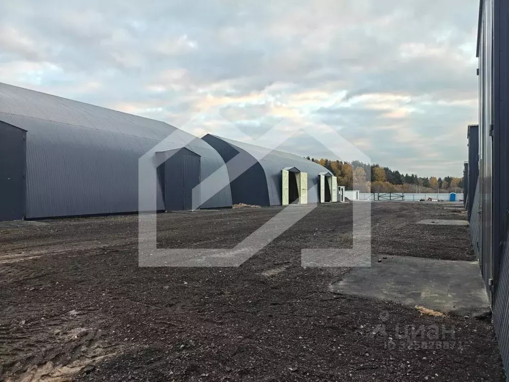 Производственное помещение в Московская область, Балашиха городской ... - Фото 1