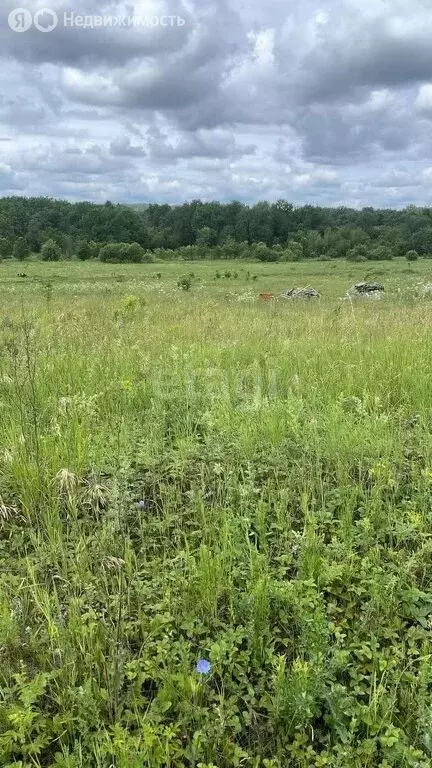Участок в Иглинский район, Акбердинский сельсовет, село Карамалы ... - Фото 2