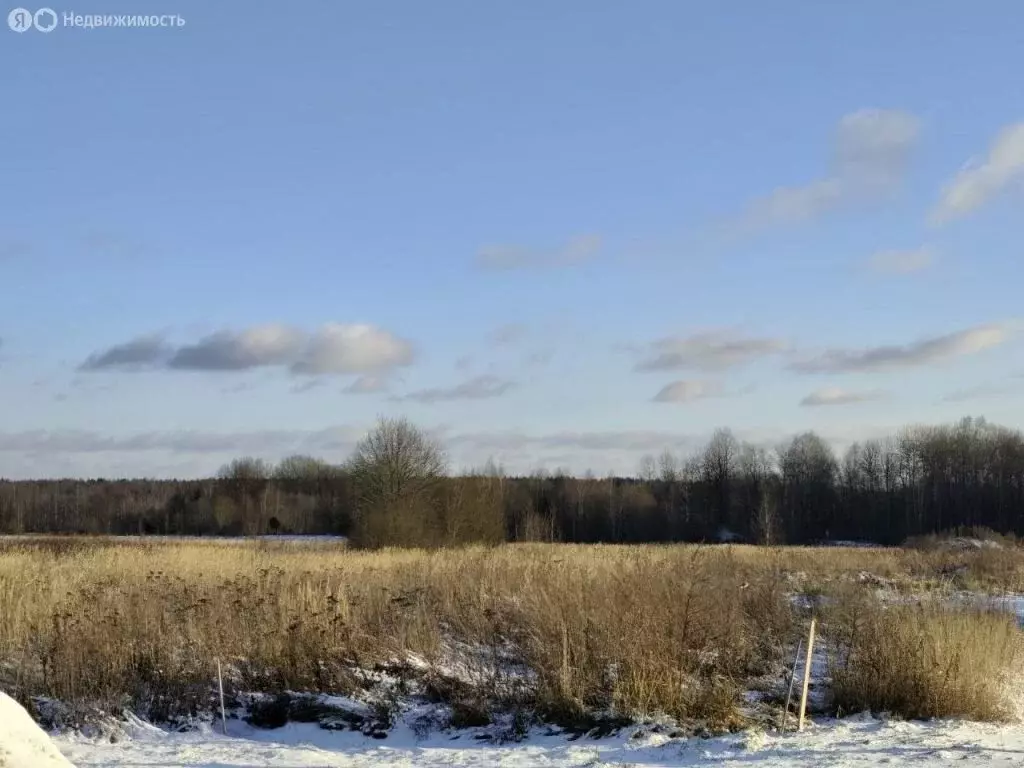 Участок в Тверская область, Калининский муниципальный округ, деревня ... - Фото 2