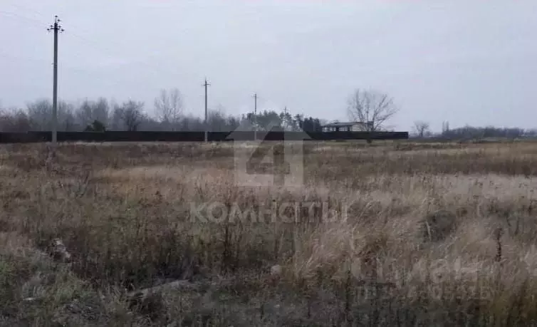 Участок в Воронежская область, Новоусманский район, Хреновское с/пос, ... - Фото 2