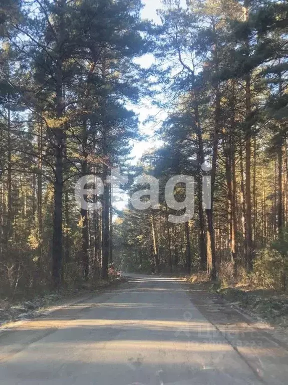 Участок в Красноярский край, Березовский район, Есаульский сельсовет, ... - Фото 0