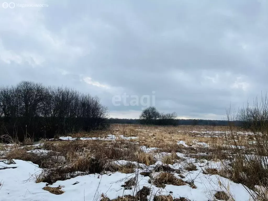 Участок в Ярославский муниципальный округ, Кузнечихинское сельское ... - Фото 0