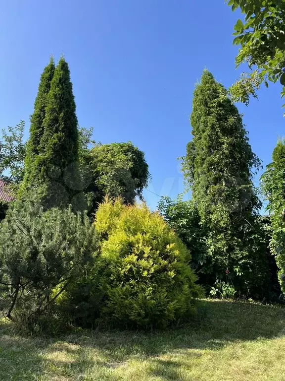 Дом 50 м на участке 12 сот. - Фото 0