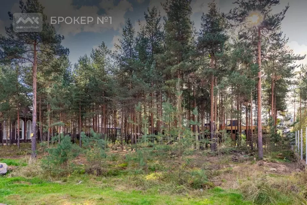 Участок в Ленинградская область, Всеволожский район, Бугровское ... - Фото 2