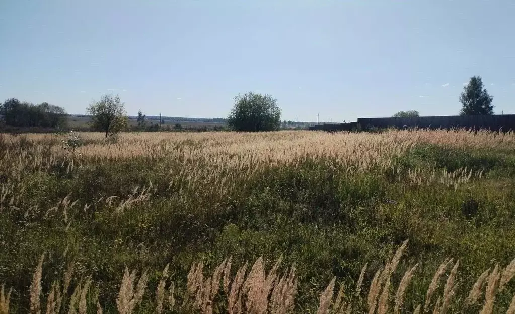 Участок в Московская область, Можайский муниципальный округ, д. Холм  ... - Фото 1