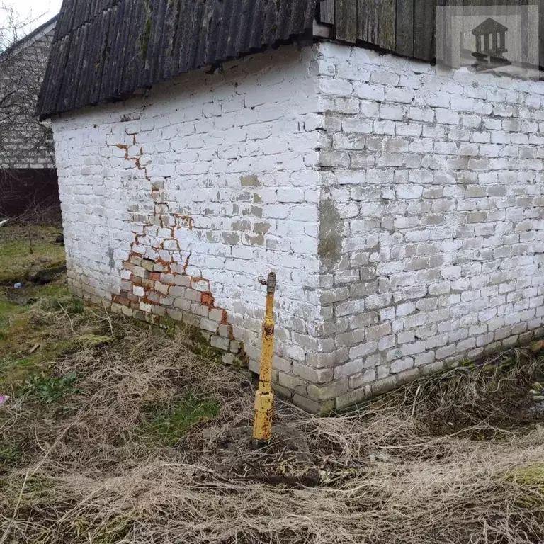 Участок в Калининградская область, Гурьевск Урожай СНТ, 107А (5.55 ... - Фото 1