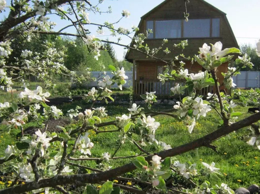 Дом в Ленинградская область, Тосненский район, Нурминское с/пос, Клен ... - Фото 1