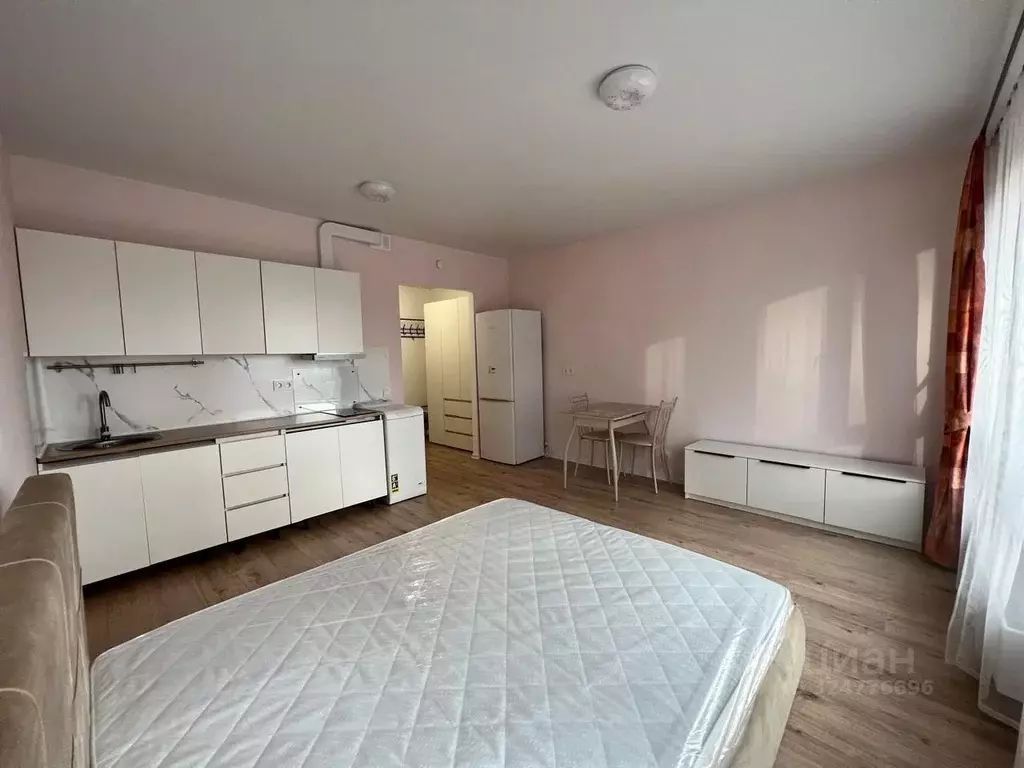 Студия Ленинградская область, Всеволожский район, д. Новое Девяткино ... - Фото 2