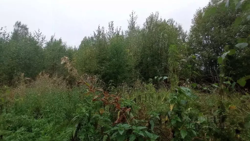 Участок в Пермский край, Добрянский муниципальный округ, пос. Нижний ... - Фото 2