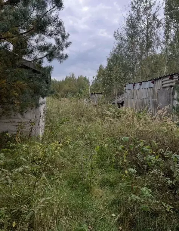 Участок в Московская область, Шатура муниципальный округ, пос. ... - Фото 1