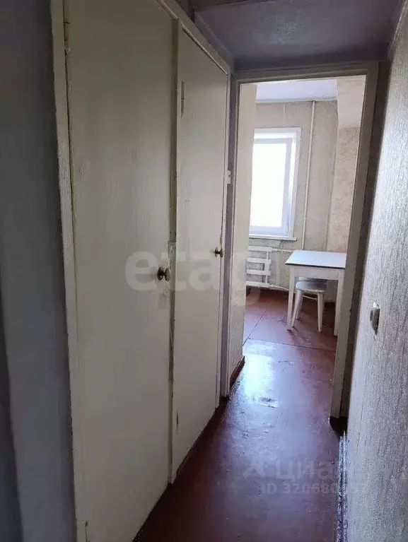 1-к кв. Алтайский край, Бийск Ленинградская ул., 105 (31.0 м) - Фото 1