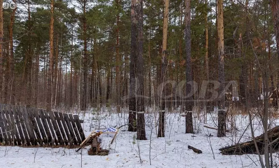 Участок в Тюменский район, деревня Чёрная Речка (25 м) - Фото 1