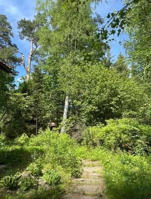 Участок в Московская область, Одинцовский городской округ, д. Жуковка, ... - Фото 0