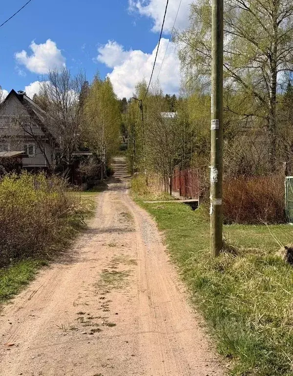 Участок в Ленинградская область, Приозерский район, Сосновское с/пос, ... - Фото 2