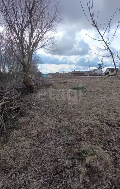 Участок в Псковская область, Псков Паневик мкр, ул. Паневик (15.0 ... - Фото 1