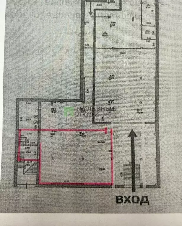 Торговая площадь в Орловская область, Орел Покровская ул., 13А (123 м) - Фото 2
