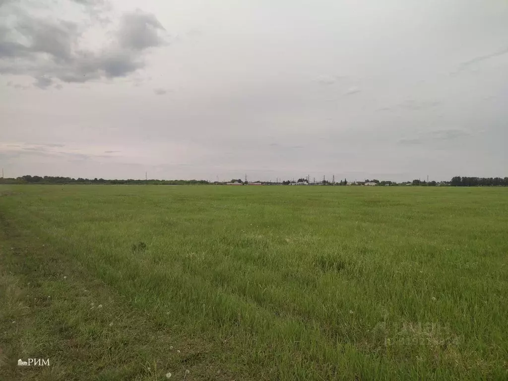 Участок в Самарская область, Красноярский район, Большая Каменка ... - Фото 0