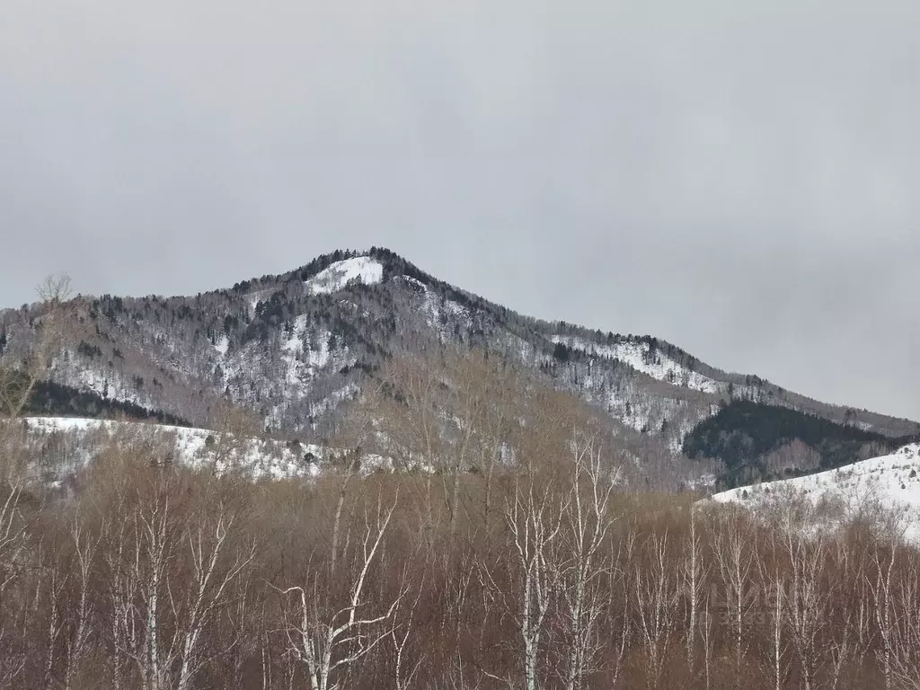 Дом в Алтайский край, Белокуриха ул. Тупиковая, 4 (100 м) - Фото 1