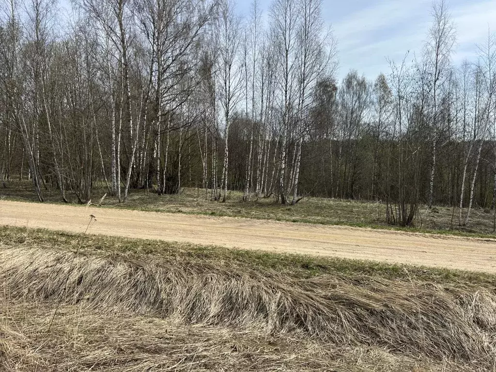 Участок в Владимирская область, Александровский район, ... - Фото 1