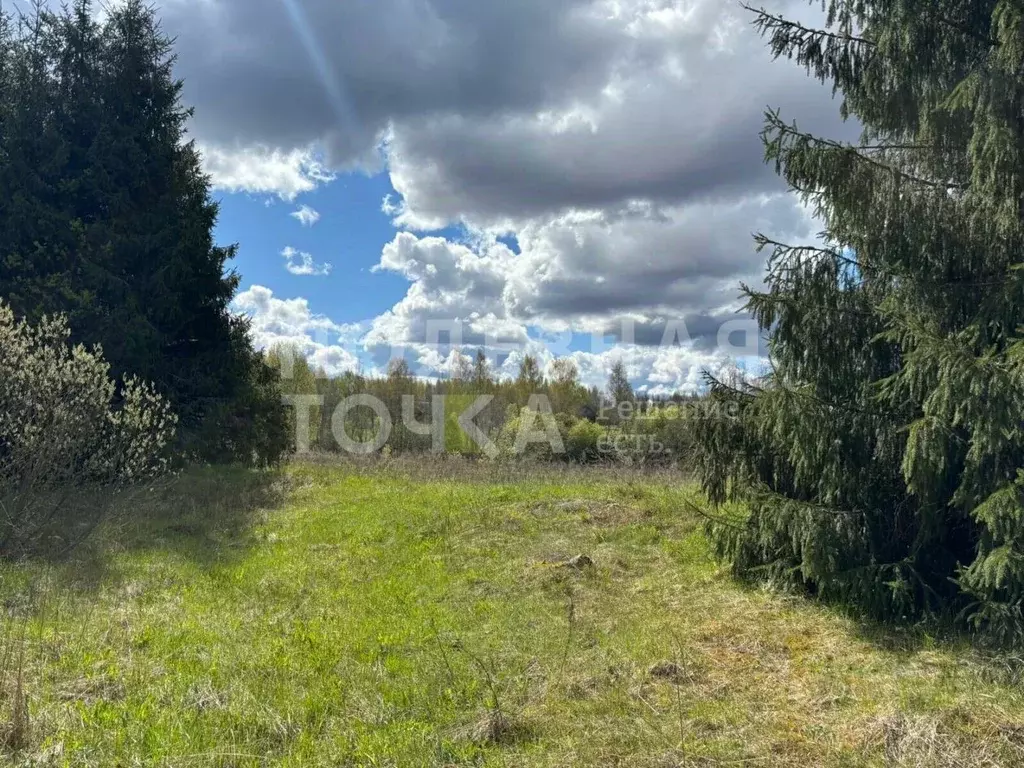 Участок в Новгородская область, Боровичский район, Опеченское с/пос, ... - Фото 1