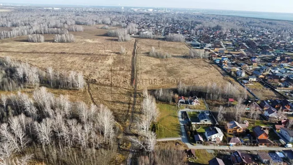 Участок в Новосибирская область, Новосибирский район, Морской ... - Фото 1