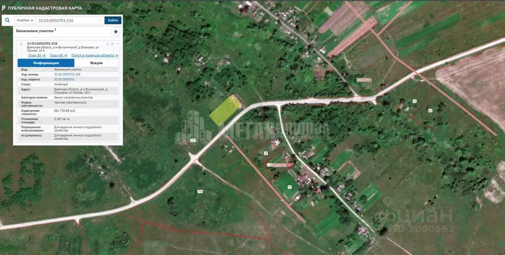 Участок в Брянская область, Выгоничский район, Орменское с/пос, д. ... - Фото 2